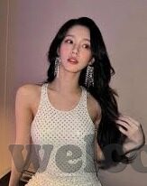 捷报比分即时足球网-捷报比分即时足球网，球迷的实时信息港湾与赛事分析利器